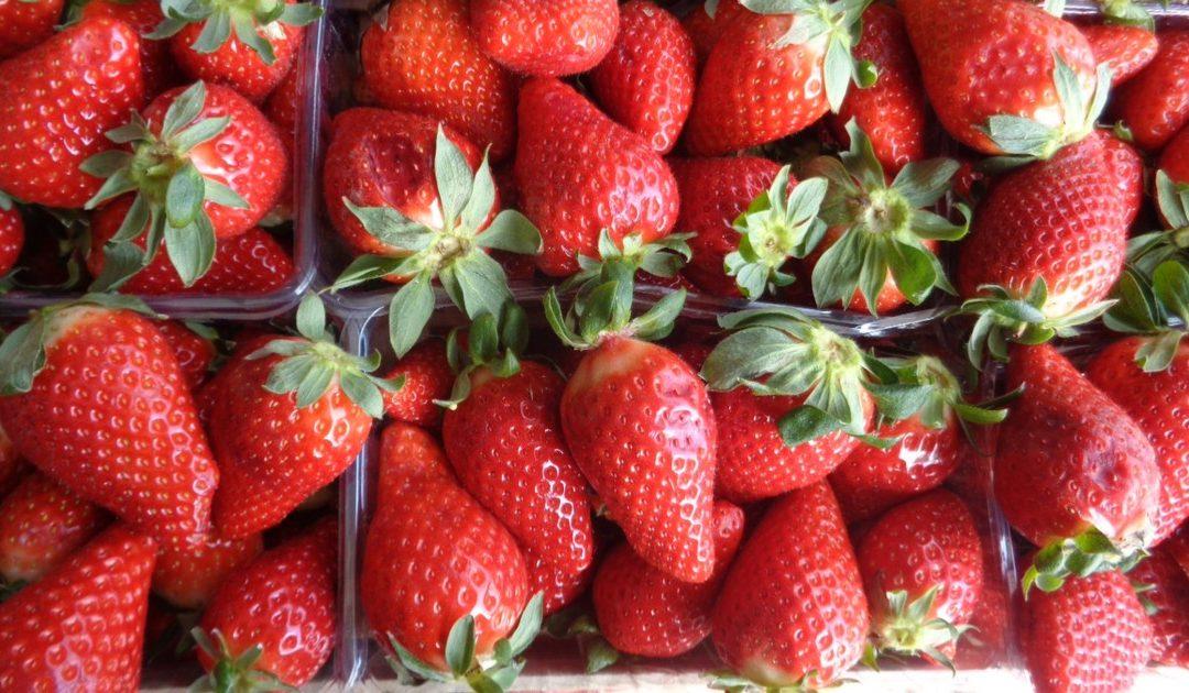 Cijena domaćih jagoda od 8 do 10 KM