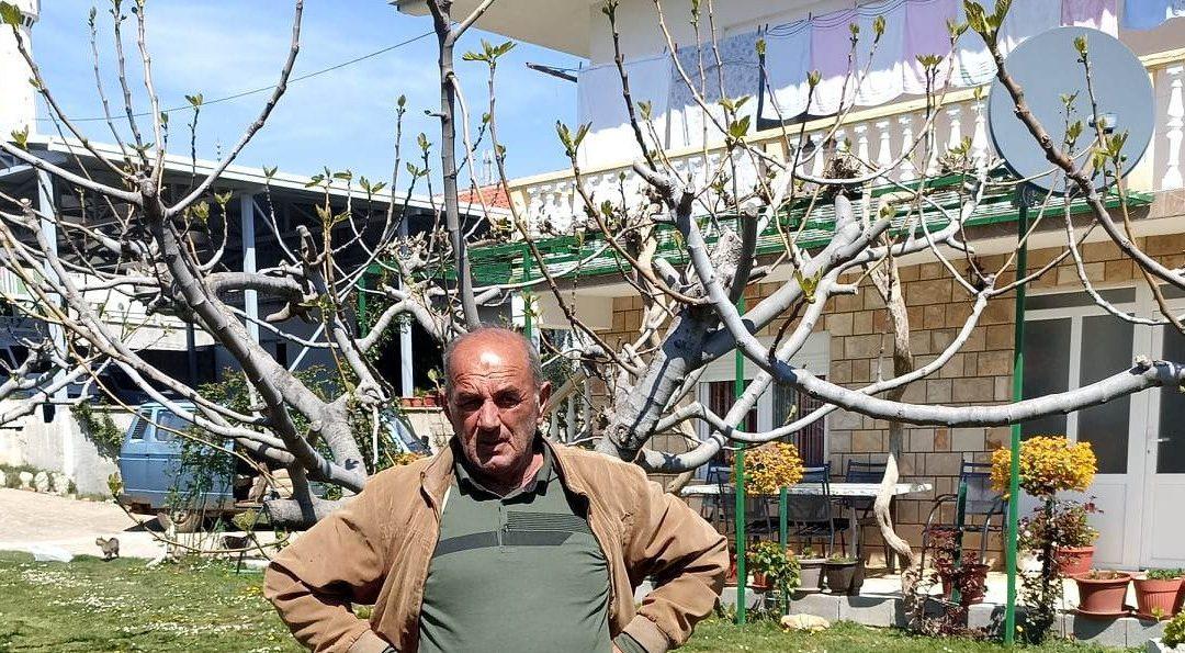 Na stablima smokava u Hercegovini niču prvi plodovi