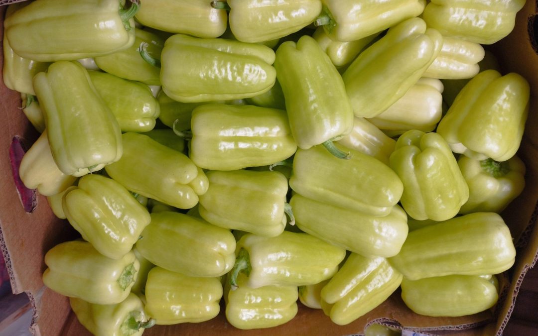 Domaća paprika jeftinija od američke