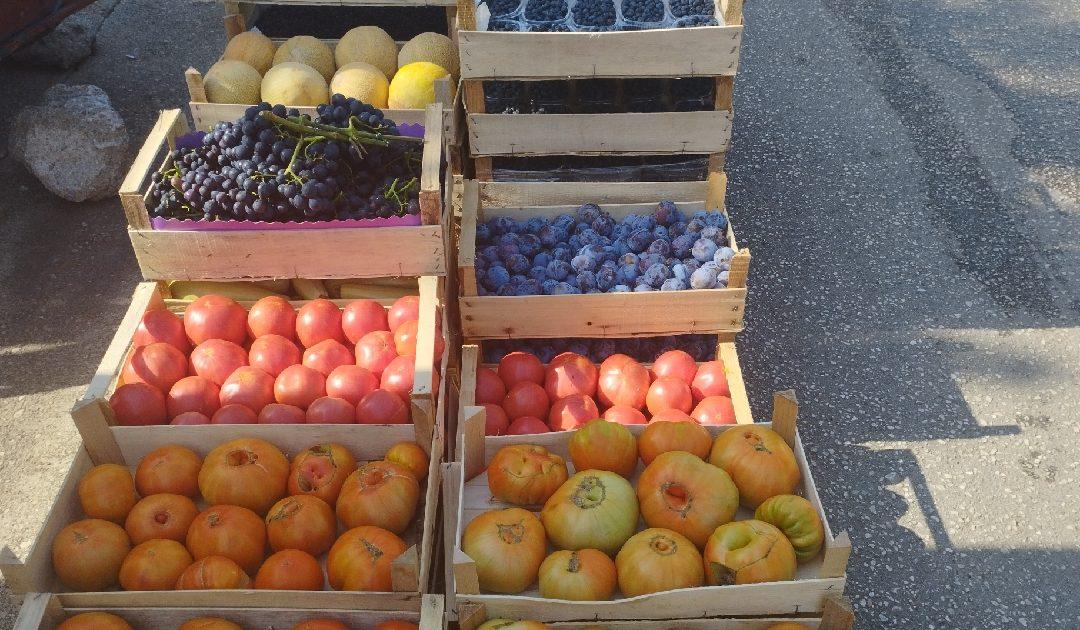 Na Veletržnici u Tasovčićima niža cijena krastavaca, a rajčice nešto skuplje u odnosu na protekli tjedan