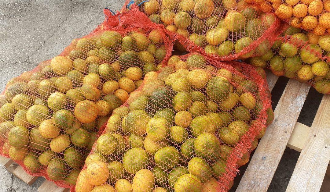 Na Veletržnici povećana potražnja za povrćem u odnosu na protekli tjedan, a povećane i cijene poljoprivrednih proizvoda