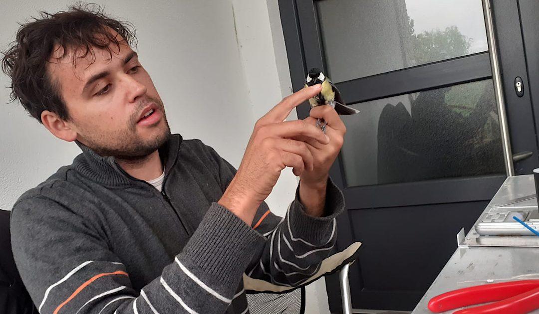 Češki prstenovači u Hutovom blatu obilježili oko 920 ptica