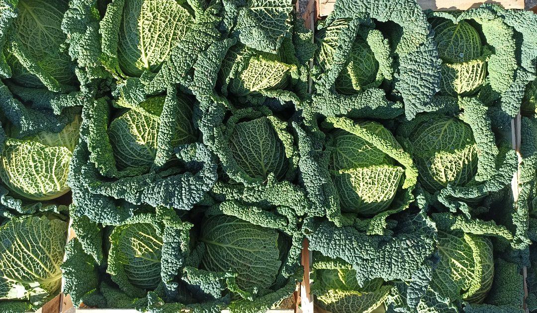 Promet na čapljinskoj veletržnici i dalje mali