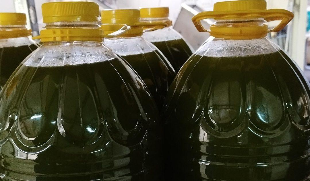 AUDIO: Brendiranje hercegovačkog maslinovog ulja