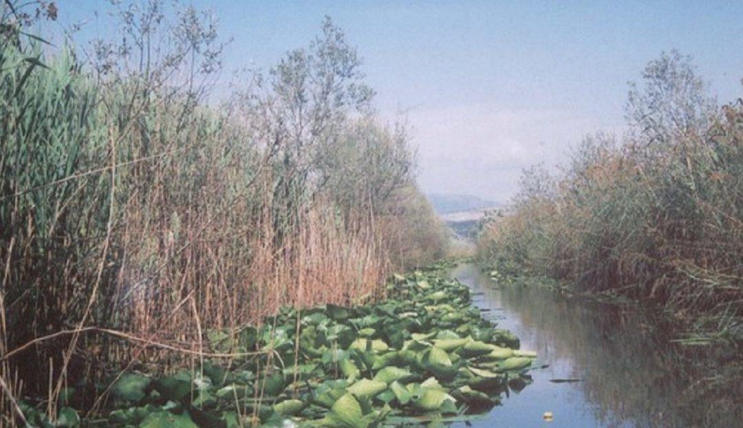 Hutovom blatu prijete presušivanje, zaraštavanje i požari