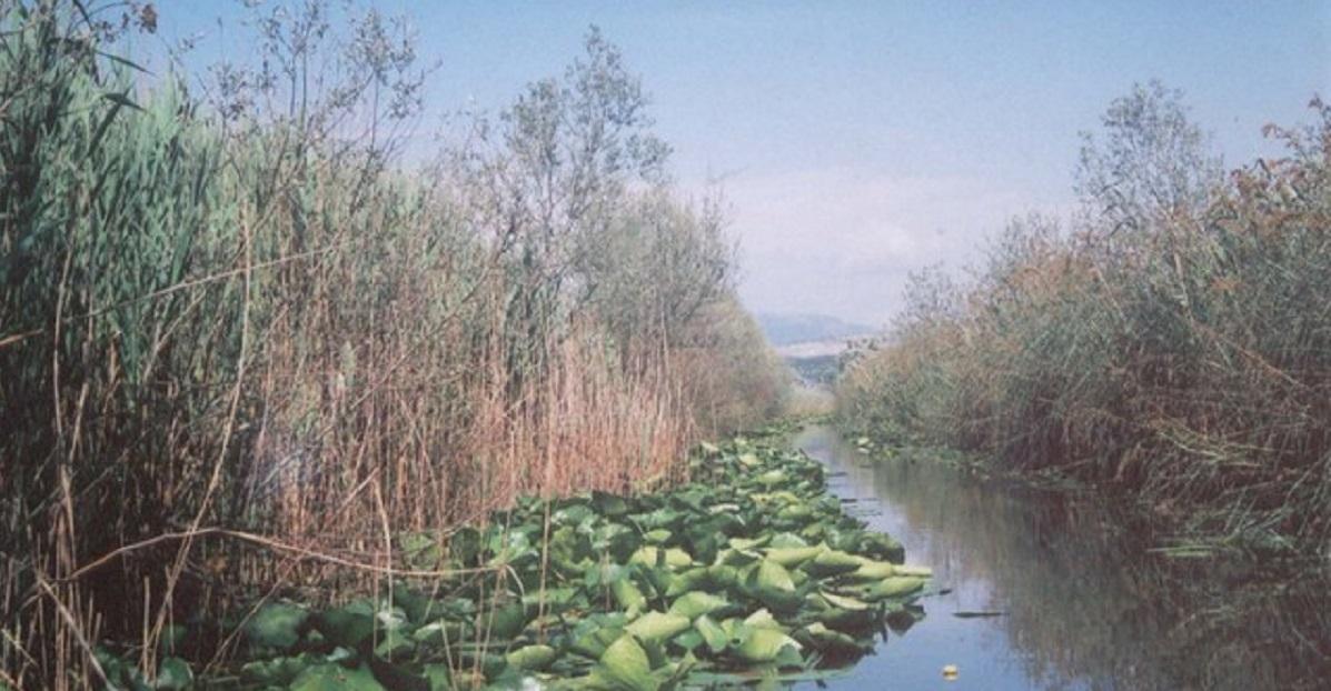 Capljina – uvijek atraktivno Hutovo blato. Foto: dusan musa