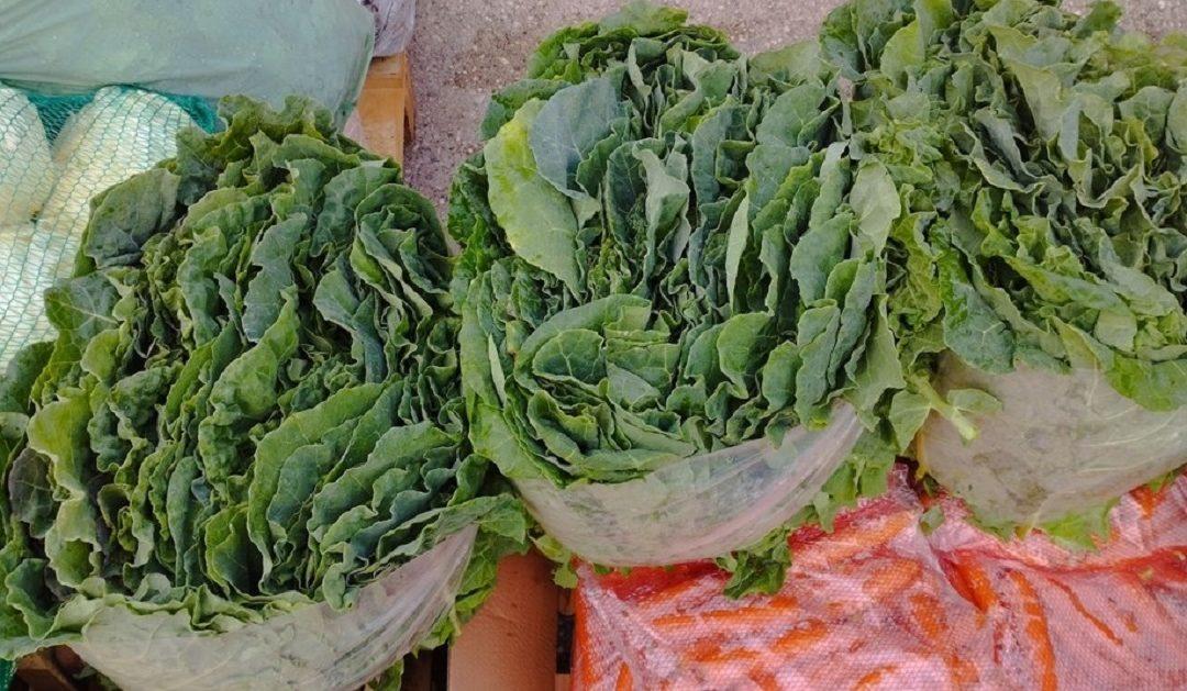 Na čapljinskoj Veletržnici najbolje se prodaje zeleno povrće