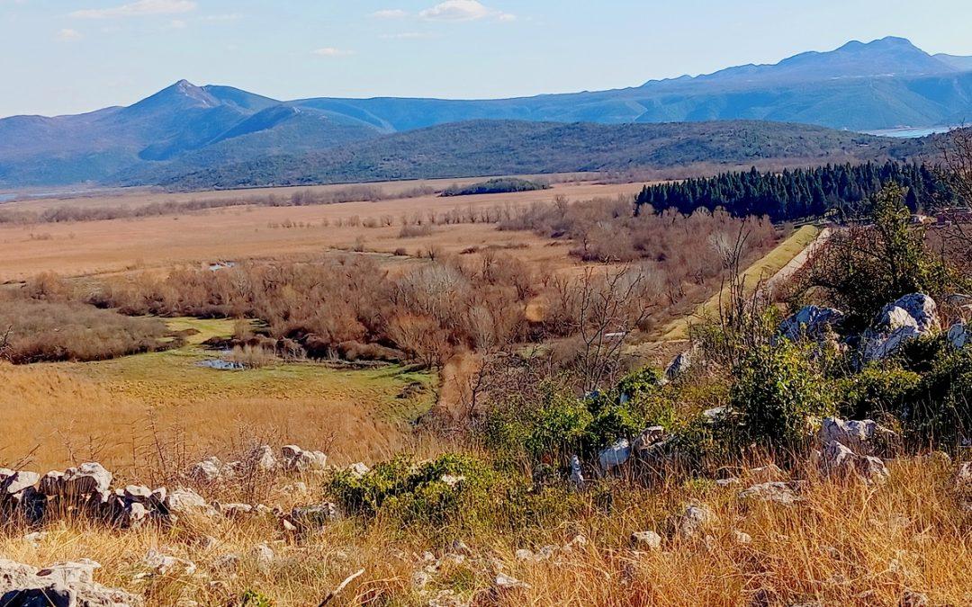 Očuvanjem bioraznolikosti čuvamo i vlastitu budućnost