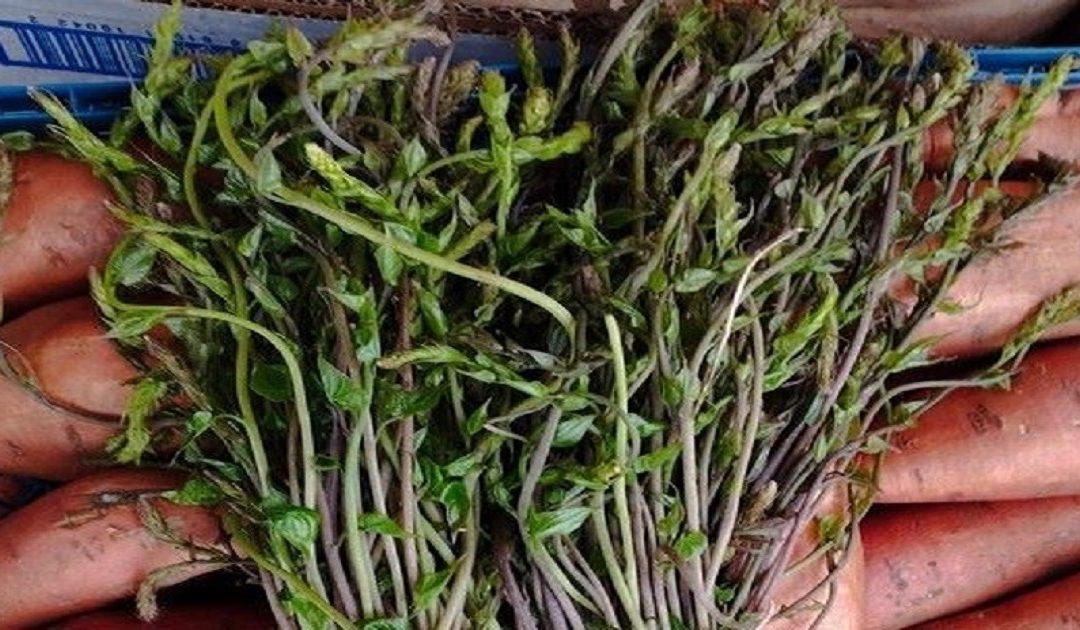 Na čapljinskoj Veleržnici slabija je ponuda robe – cijena kuka pala na 2 KM