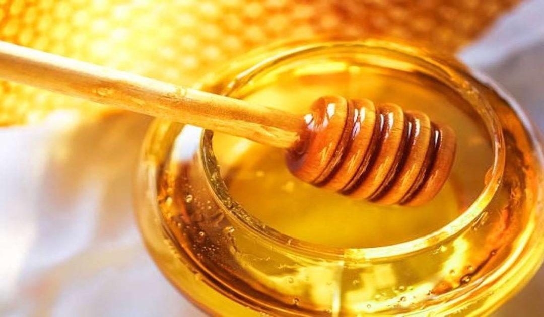 Uvoz meda u BiH 14 puta veći od izvoza