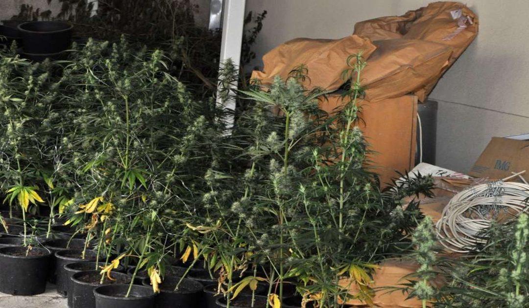 U pretresu kuće u Neumu pronađena droga