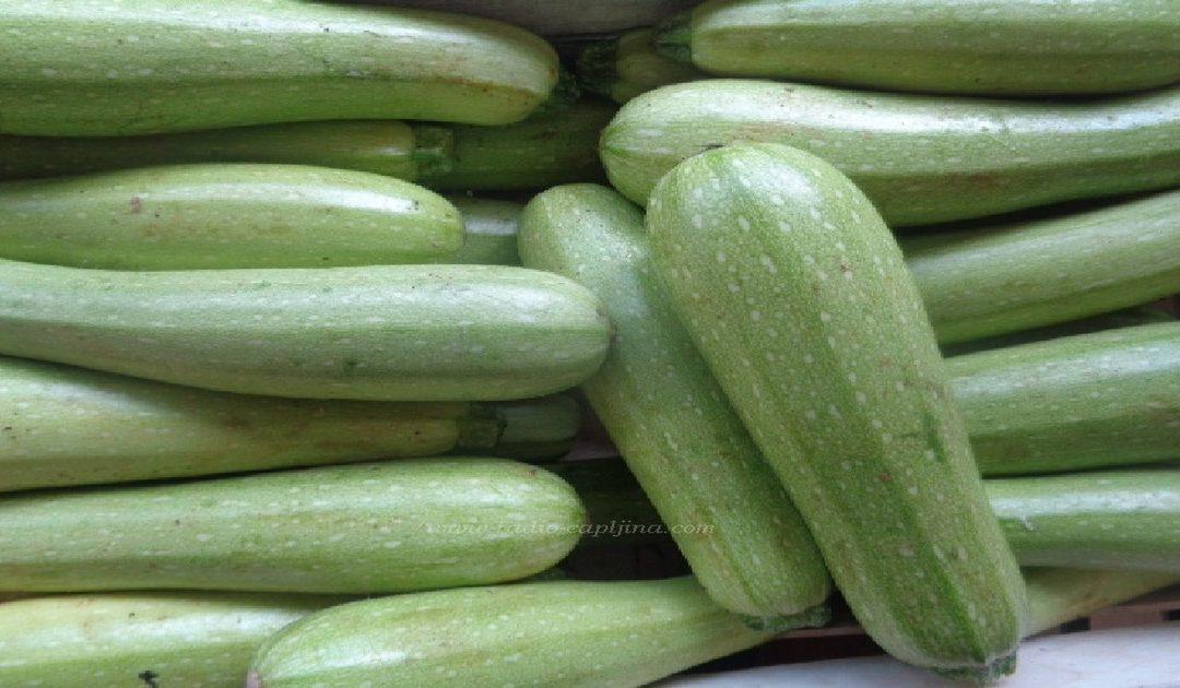 Stigle prve tikvice na Veletržnicu u Tasovčićima