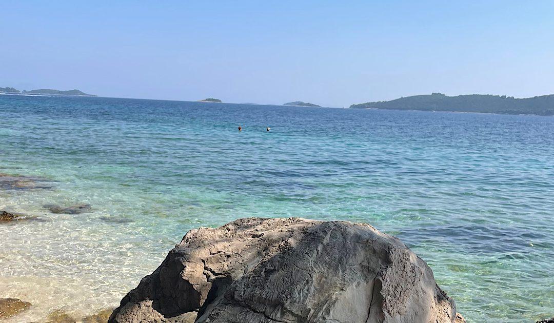 Čapljinski vatrogasci izdali preporuke kako se zaštiti od velikih vrućina