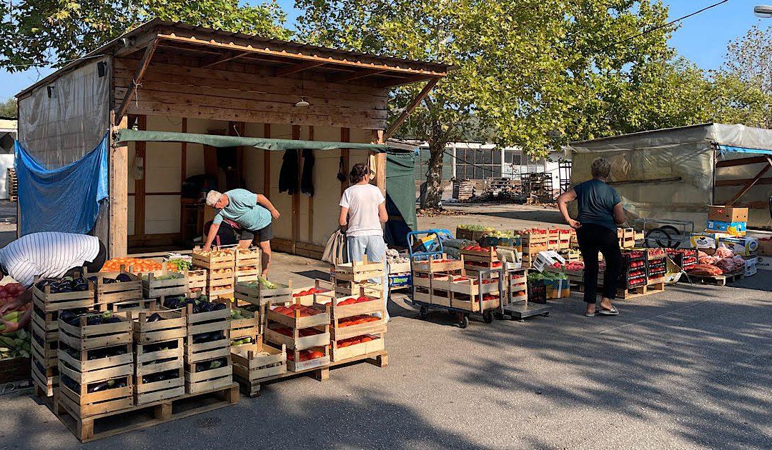 Počelo pristizati povrće za zimnicu