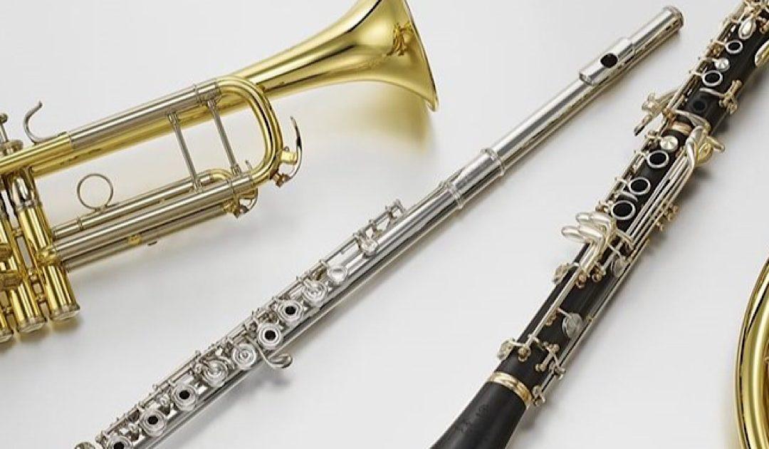 Upis polaznika za puhački orkestar HKUD “Seljačka sloga”