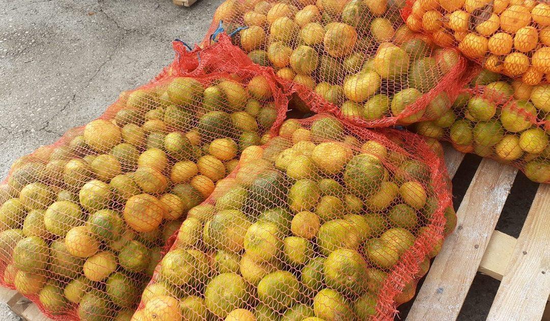 Na Veletržnicu u Tasovčićima stigle mandarine