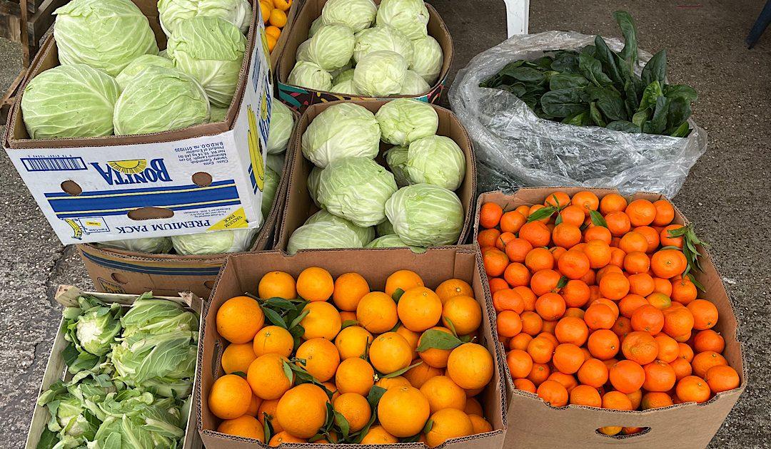 Na Veletržnicu stigao špinat – cijena 4 do 5 KM