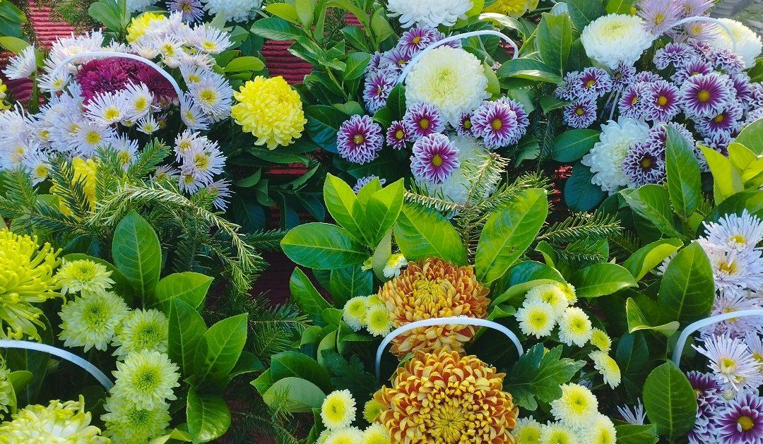 Cijene lončanica i cvjetnih aranžmana koji se prodaju za blagdan Svih svetih i Dušni dan iste kao i proteklih godina