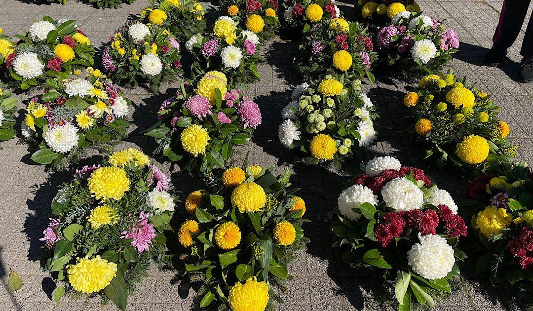 Audio: Na čapljinskim ulicama i ove godine bogata ponuda blagdanskog cvijeća