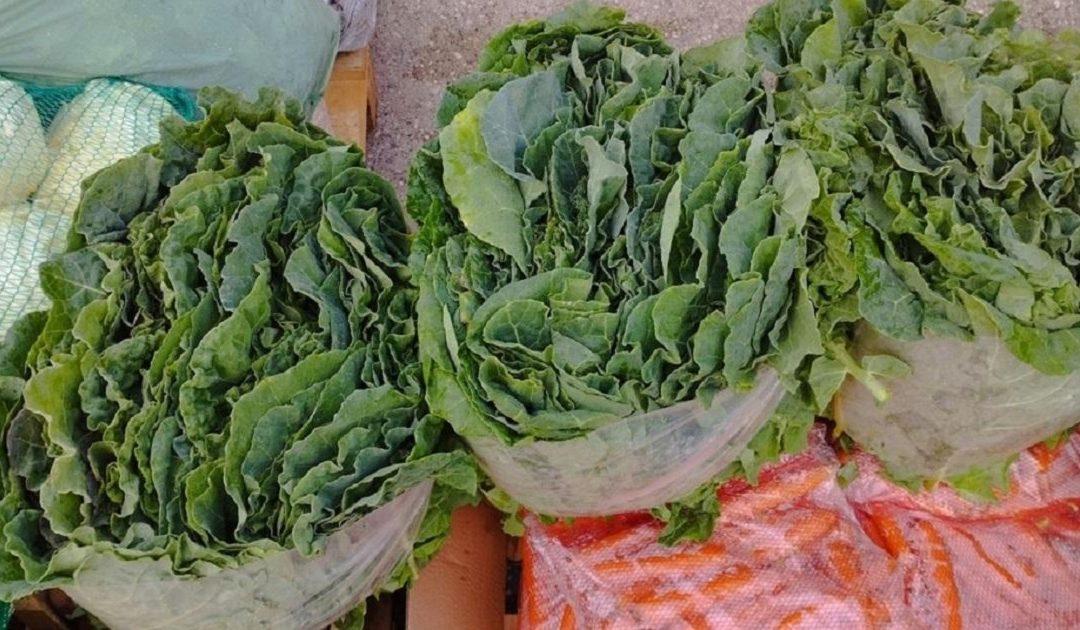 Na čapljinskoj Veletržnici cijena raštike 5 KM za kilogram