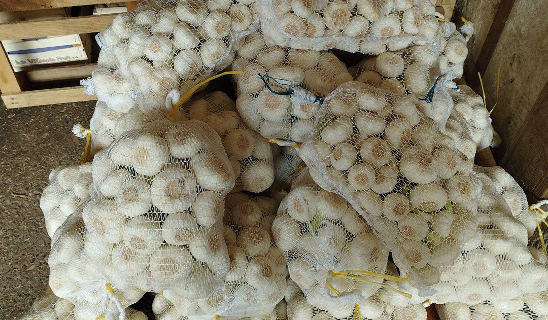 Cijena bijelog luka od 15 do 20 KM