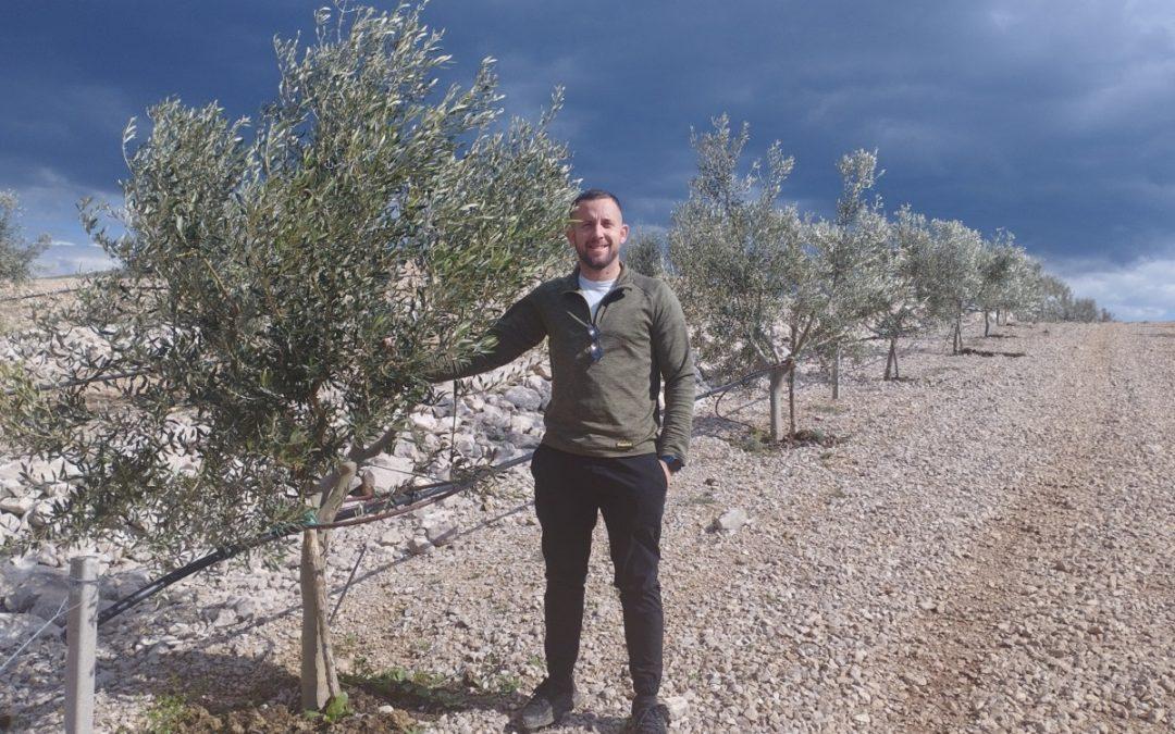 AUDIO: U tvrtki Agroherc Organic na oko 100 hektara uzgajaju se masline, divlji šipak, lavanda, smilje i smokve