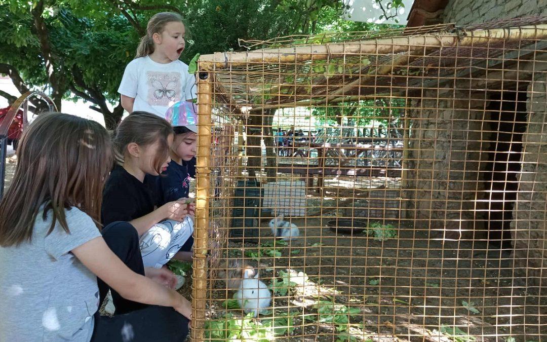Predškolci Dječjeg vrtića Čapljina uživali na izletu