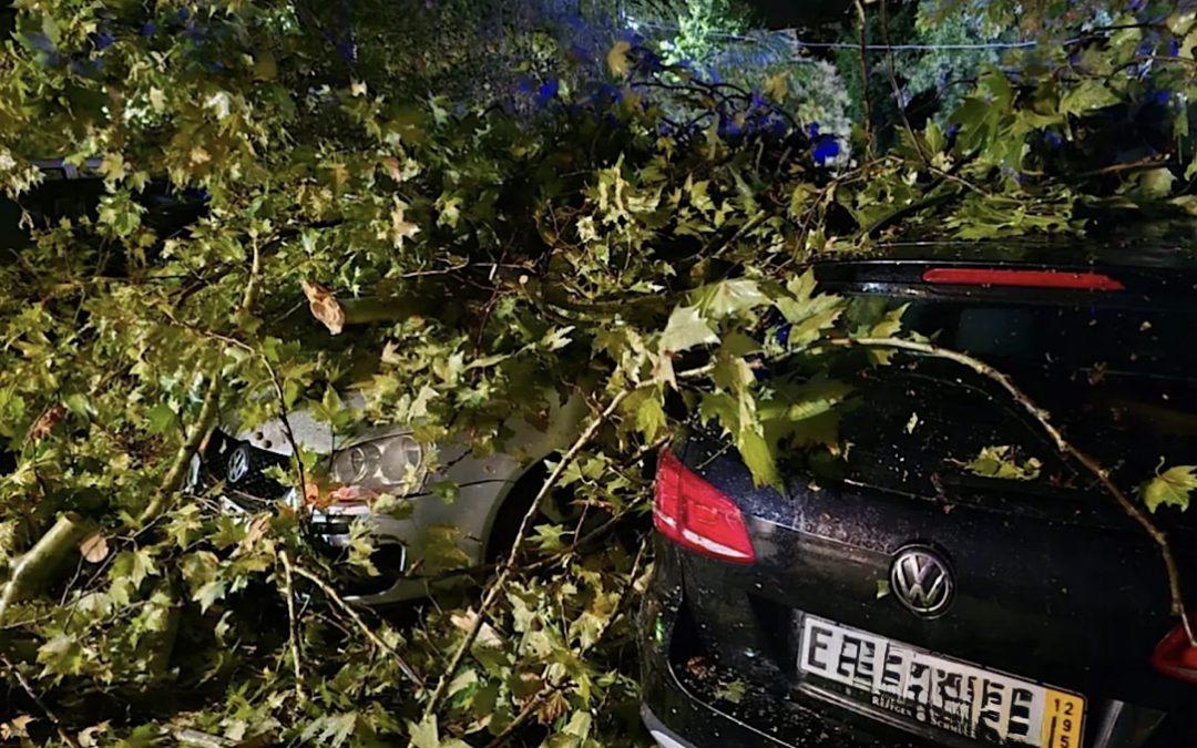AUDIO: Olujno nevrijeme pogodilo Čapljinu: Oštećena vozila, vatrogasci imali više intervencija