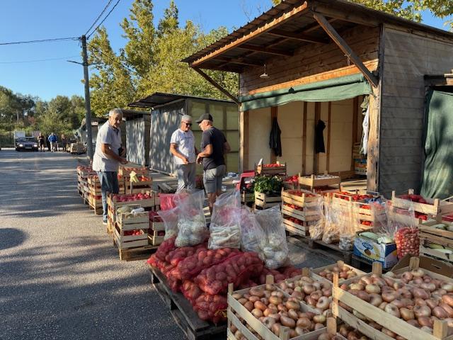 Nevrijeme uzrokovalo višak rajčica u prodaji, a cijena zelene salate dosegla 3,00-3,50 KM