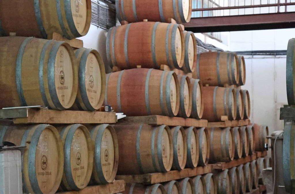 Organoleptička ocjena potencijala mladih otvorenih vina u Mostaru