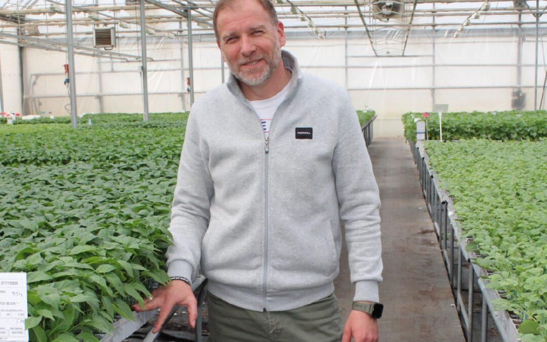 AUDIO| Ivica Borovac| Sezona je sadnje u Hercegovini: Najveća potražnja za kalemljenom rajčicom i paprikom