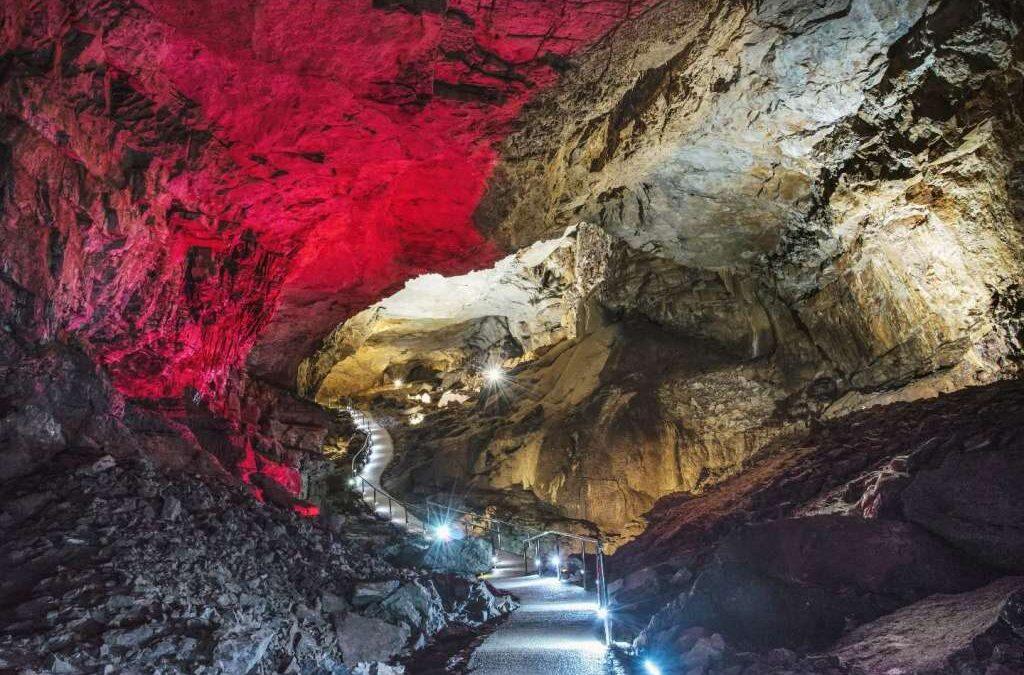 Svjetski dan divljih vrsta:U Vjetrenici divlje vrste žive u savršenoj ravnoteži tame, vlage i tišine