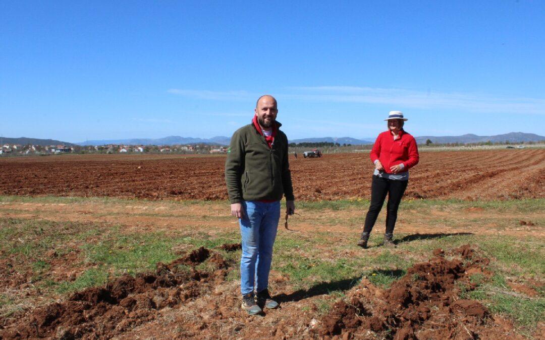 Čapljinska vinarija Domano podiže 30 hektara novih nasada vinove loze