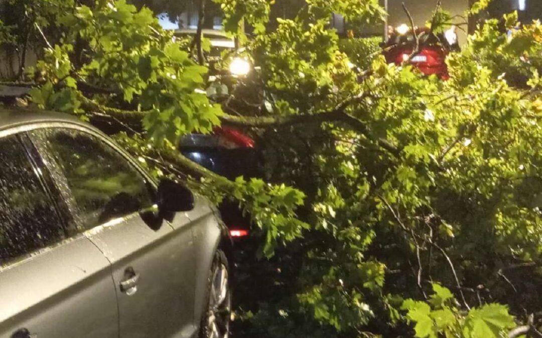 Čapljina među najpogođenijima nakon nevremena, zabilježene brojne tehničke intervencije