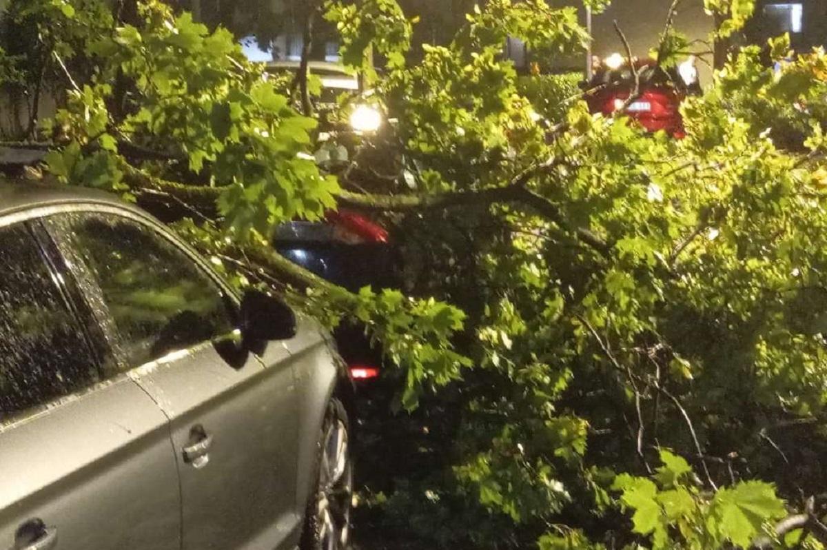 Čapljina među najpogođenijima nakon nevremena, zabilježene brojne tehničke intervencije Čapljina među najpogođenijima nakon nevremena, zabilježene brojne tehničke intervencije
