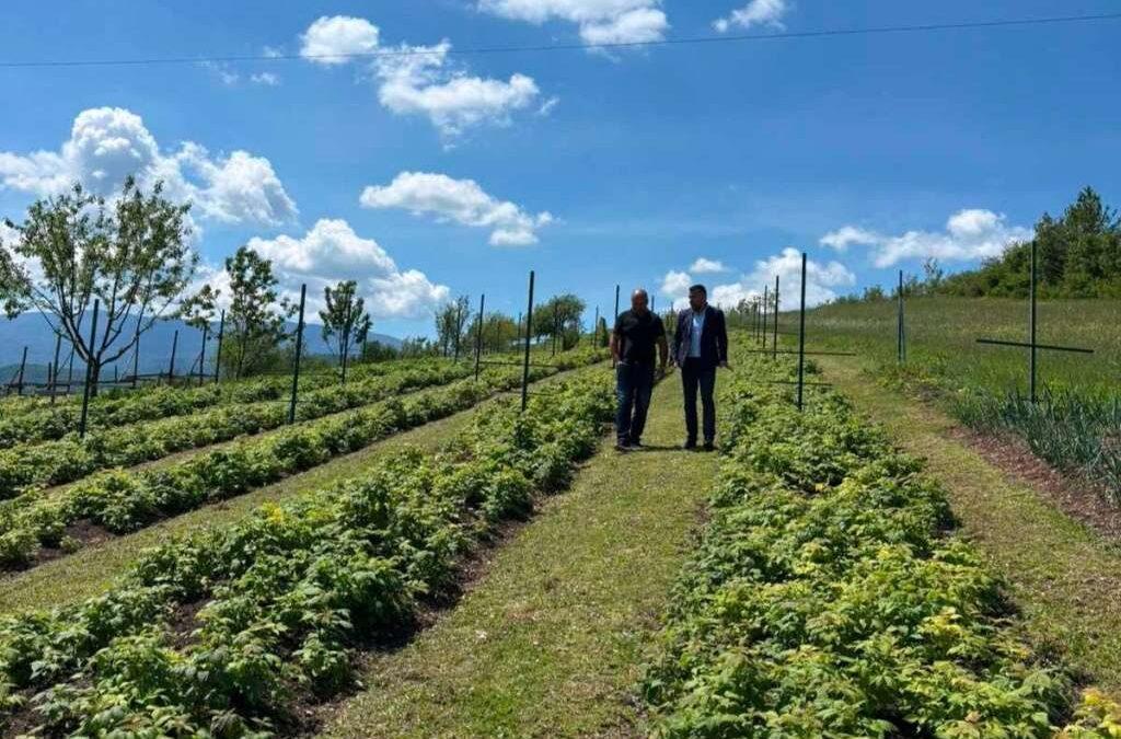 Ministarstvo poljoprivrede RH dodijelilo četiri milijuna eura za projekte Hrvata u BiH