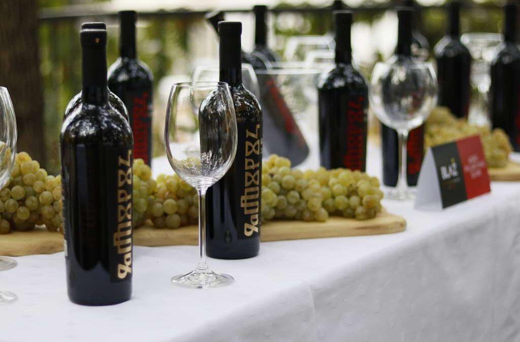 BLAŽ Enology 27. kolovoza u Međugorju okuplja četrdesetak hercegovačkih vinarija
