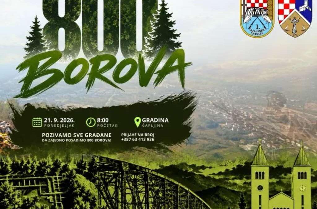 U Čapljini će biti posađeno 800 borova